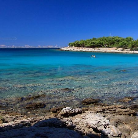 Apartments Sonja Murter Croatia 외부 사진