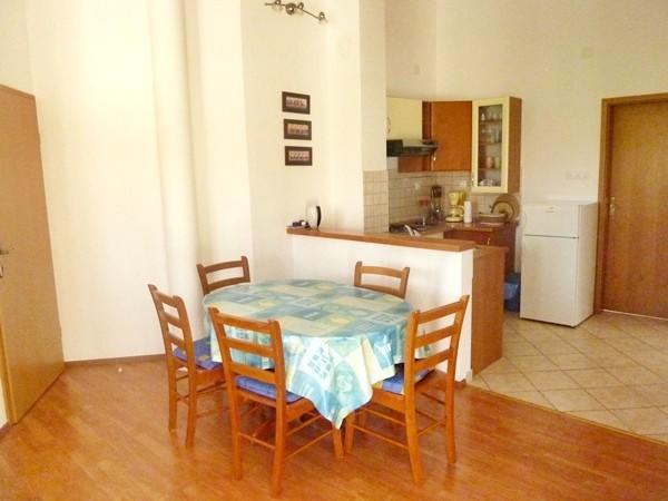 Apartments Sonja Murter Croatia 외부 사진