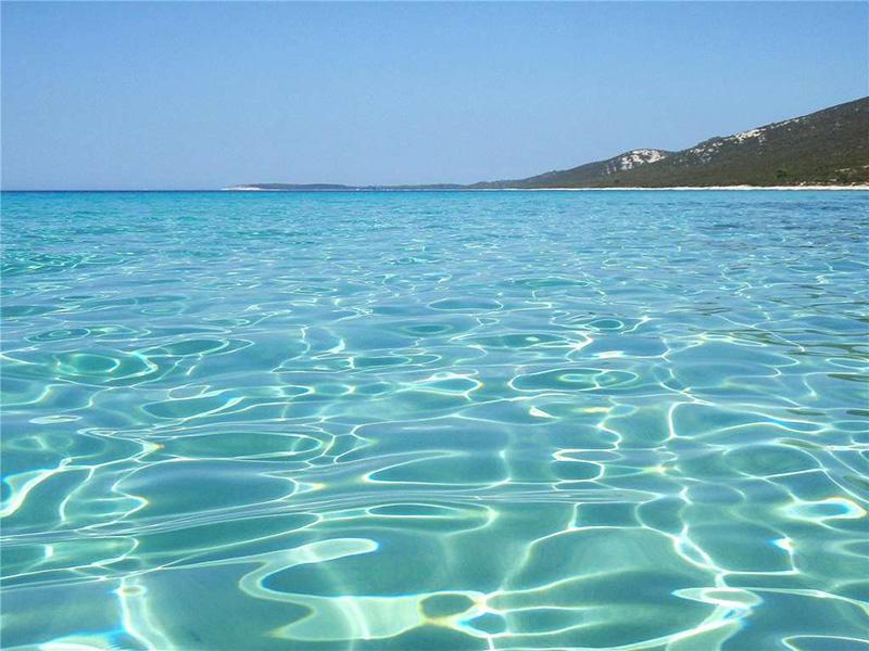Apartments Sonja Murter Croatia 외부 사진