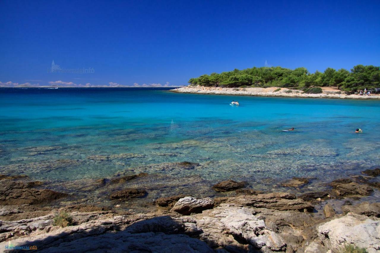 Apartments Sonja Murter Croatia 외부 사진